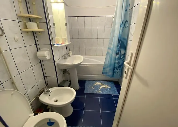 Spatios Situat * コンスタンツァ